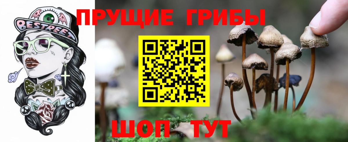 Галлюциногенные грибы мицелий Котовск