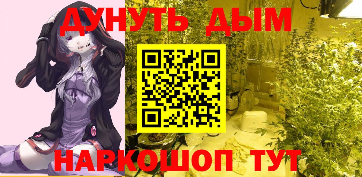Марихуана гибрид  Конопля ГИДРОПОН  Котовск  Шишки марихуана Amnesia  Вход с VPN 